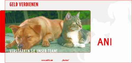 Plakat "Geld verdienen" A1 (1 Stück)