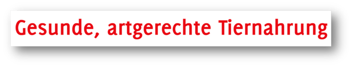 Autobeschriftung Textzeile  (1 Stück)