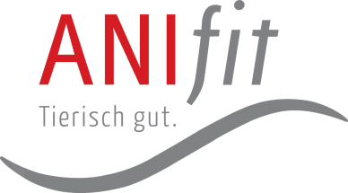 Autobeschriftung weiß  (1 Stück)